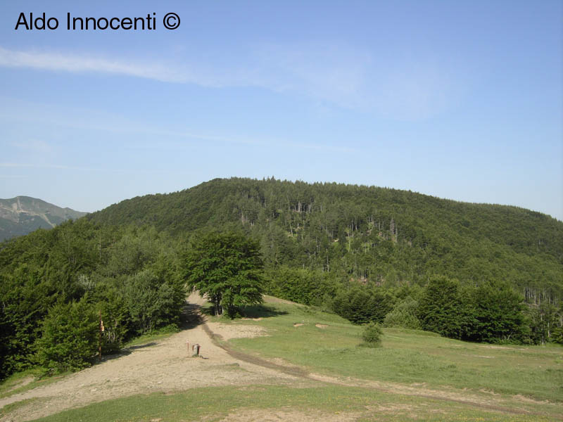 IL MONTE MAIORI DALLA VERGINETTA